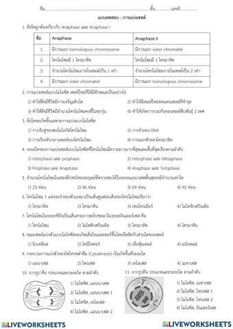 เก็บคะแนน ว31241