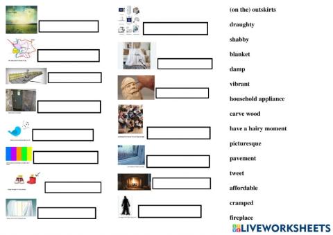 Focus 4 Unit 3 vocabulary revision