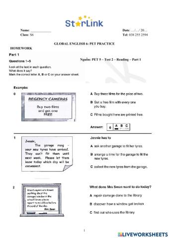 Foreign Teacher-S6-TET HOLIDAY-PET PRACTICE