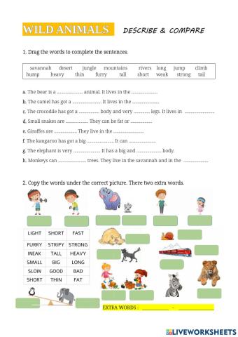 WILD ANIMALS: DESCRIBING AND COMPARING