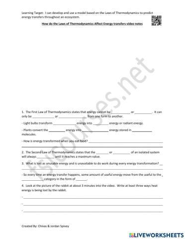 Laws of Thermodynamics - Energy Transfers Video Notes
