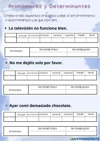 Determinantes y pronombres