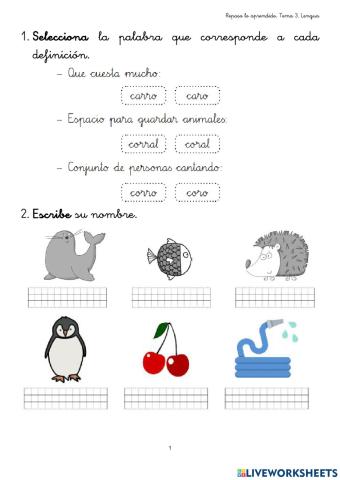 Repaso tema 3 Lengua