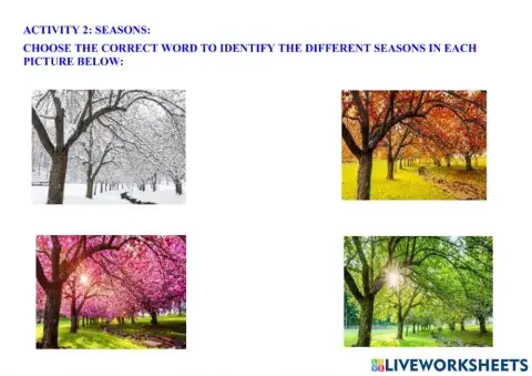 Seasons