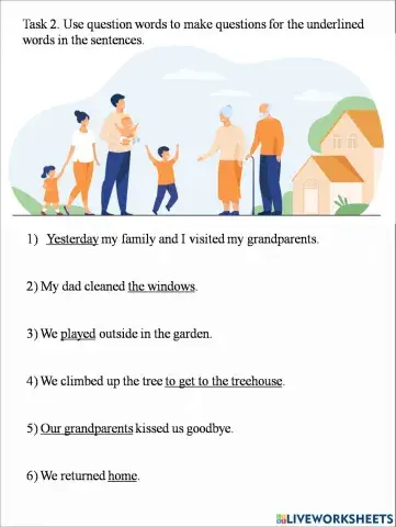 Past simple special question