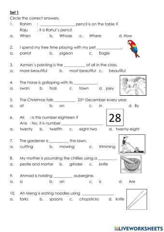 Grammar and Vocabulary Exercise