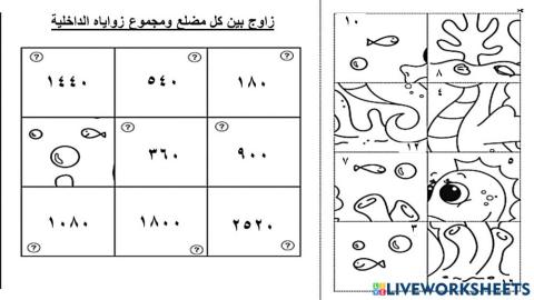 الزوايا الداخلية
