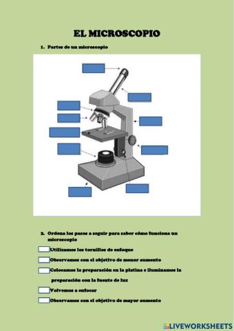 El microscopio
