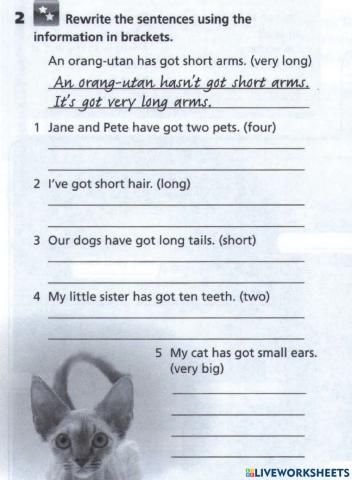 Writing Positive and Negative statements about body parts by Teacher Kasim