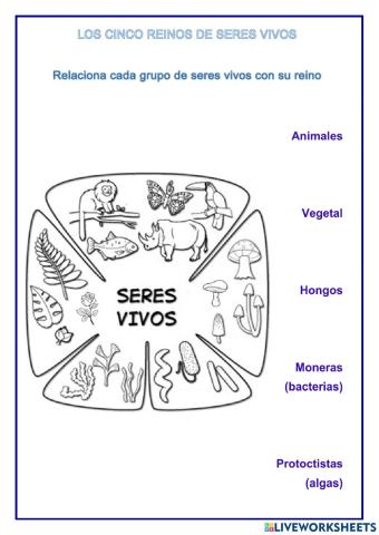 Los cinco reinos de seres vivos