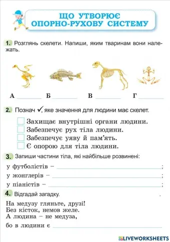 Що утворює опорно-рухову систему