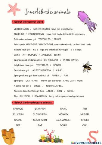 Invertebrate animals