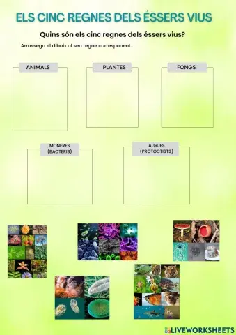 Els cinc regnes dels éssers vius