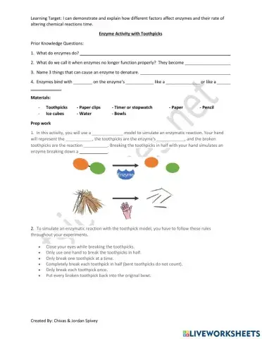 Enzyme Activity with Toothpicks
