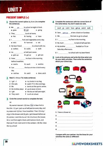 Present Simple Affirmative NUS