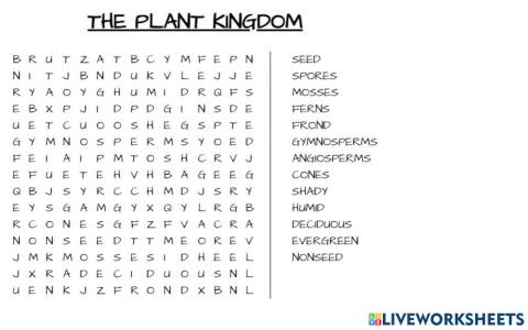 Plant Kingdom 5º grade task