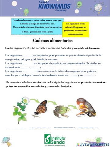 Cadenas alimentarias