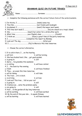 Cosmic B1+ Grammar Test 4.1