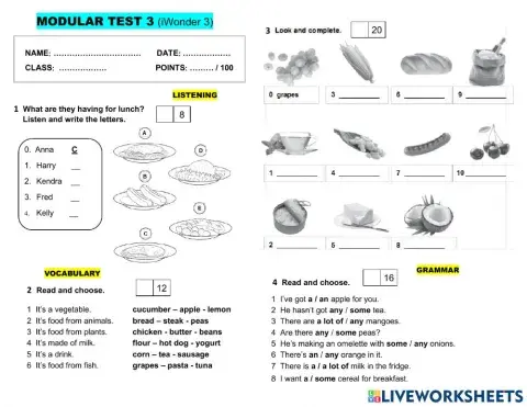 Module test 4 (iWonder 3)-extra