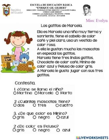 Ejercicio de Lectura