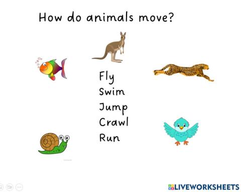 Animals move