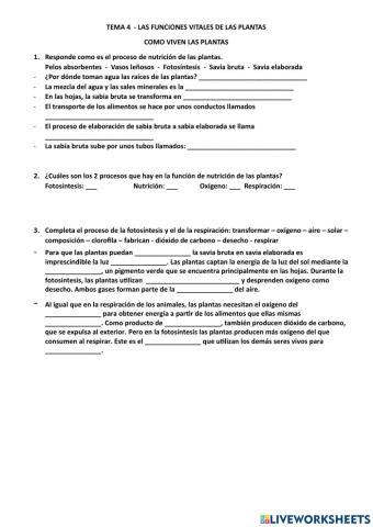 La nutrición en las plantas