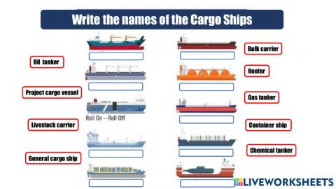 Types of Cargo Ships