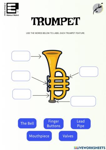 The Trumpet