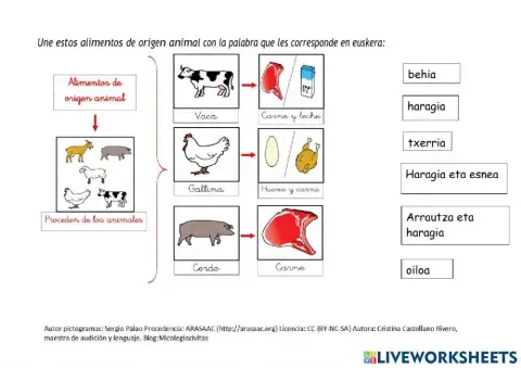 Animalietatik eratorritako elikagaiak
