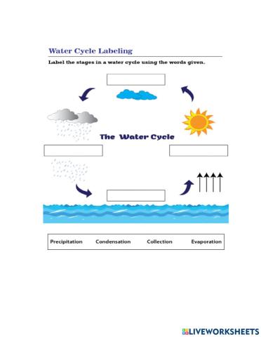 Water Cycle