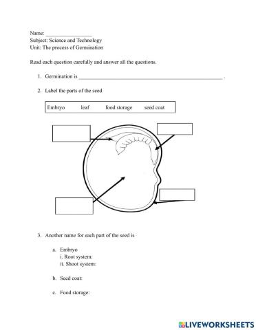 The process of germination