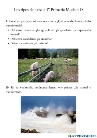 Los tipos de paisaje