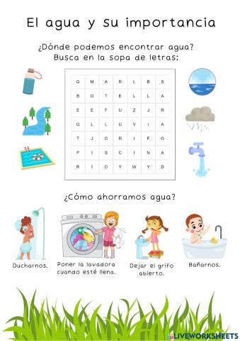 El agua y su importancia
