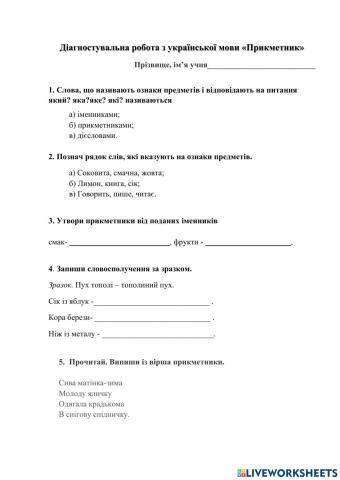 Діагностувальна робота -Прикметник-