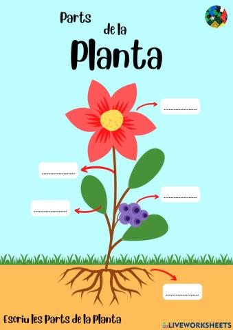 Parts de la planta