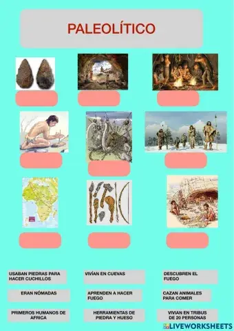 Elementos Paleolítico