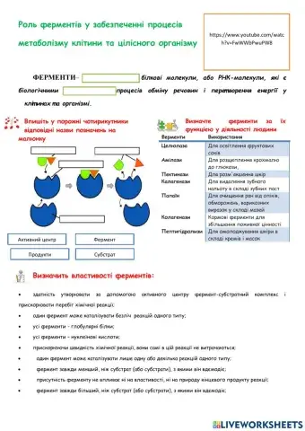 Роль ферментів у забезпеченні процесів  метаболізму клітини та цілісного організму