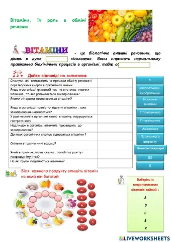 Вітаміни, їх роль в обміні речовин