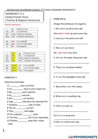 Present Simple Tense Negative Sentences