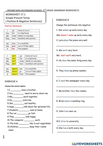 Present Simple Tense Negative Sentences