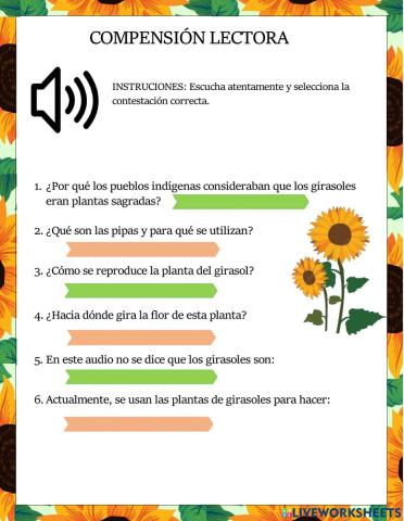 Los girasoles-Información