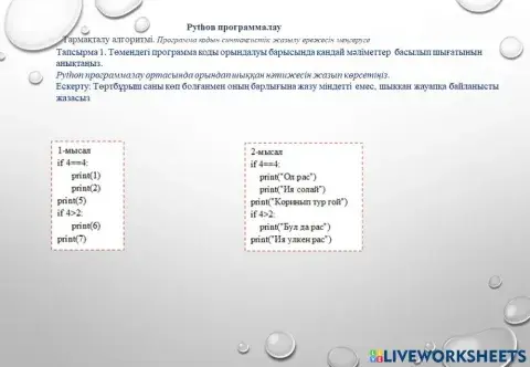 Python программалау
