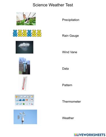 Weather Vocabulary