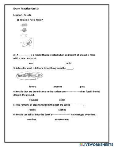 Lesson 1 and Lesson 2 Practice test