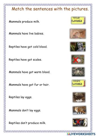 Characteristics of mammals and reptiles