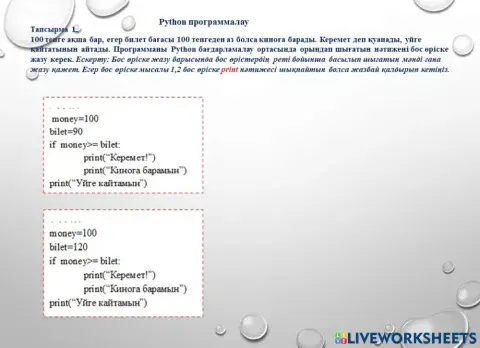 Python программалау тілі