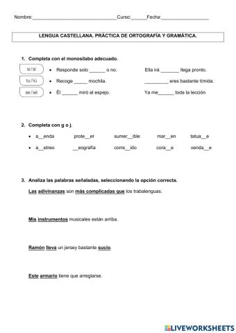 GRAMÁTICA Y ORTOGRAFÍA LENGUA 
