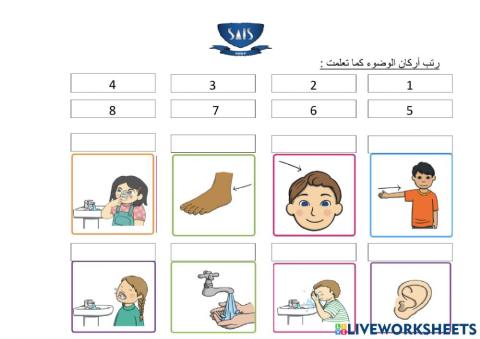 ترتيب خطوات الوضوء