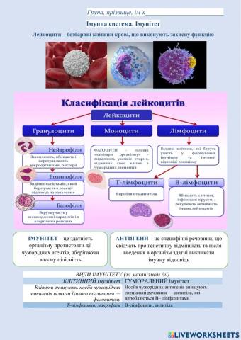 Лейкоцити. Імунітет