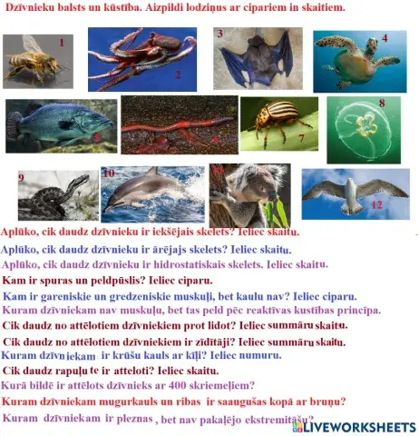 Dzīvnieku balsts un kustība ped.